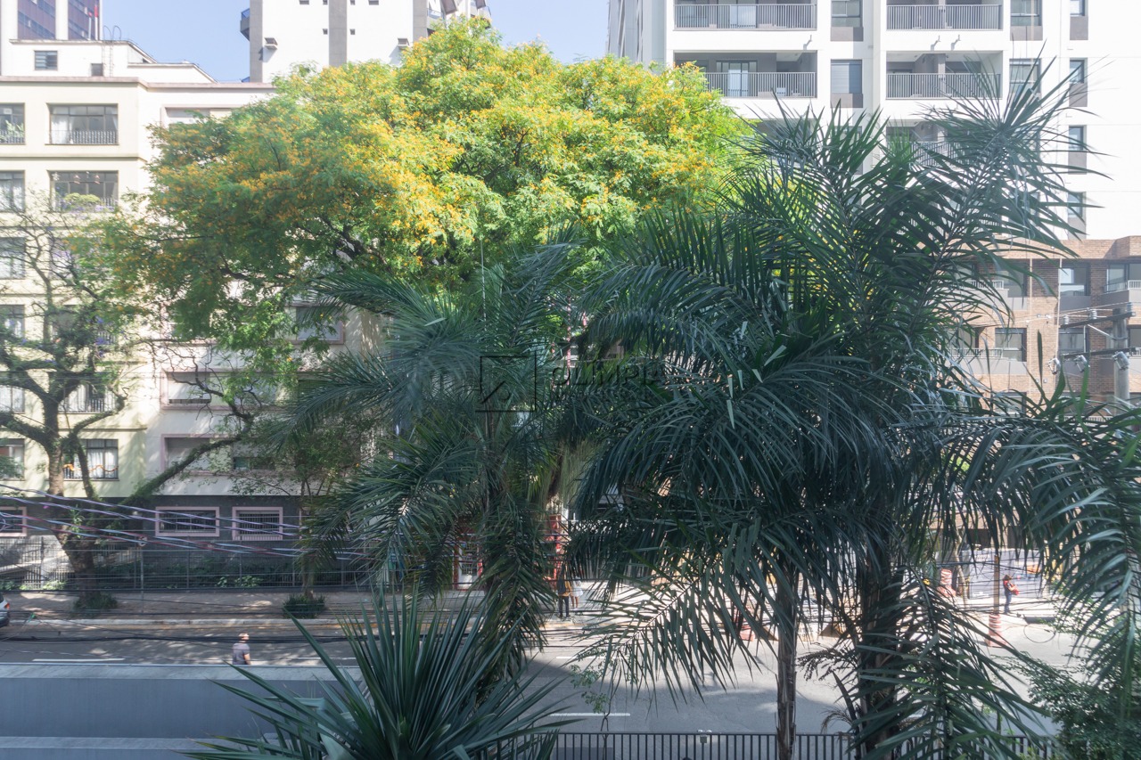 Apartamento - Moema SP